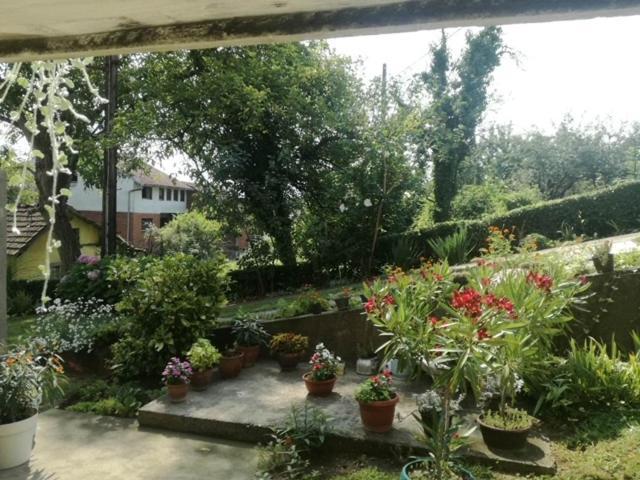 Apartman Bilja Vrnjačka Banja Exterior foto